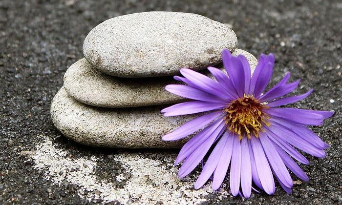 Drei graue Steine sind übereinander gestapelt, neben ihnen blüht eine lila Blume auf einem dunklen Untergrund.